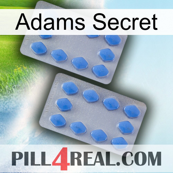 Adams Secret 20.jpg